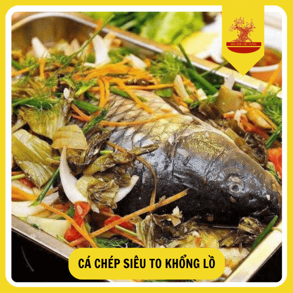 CÁ CHÉP SIÊU TO KHỔNG LỒ